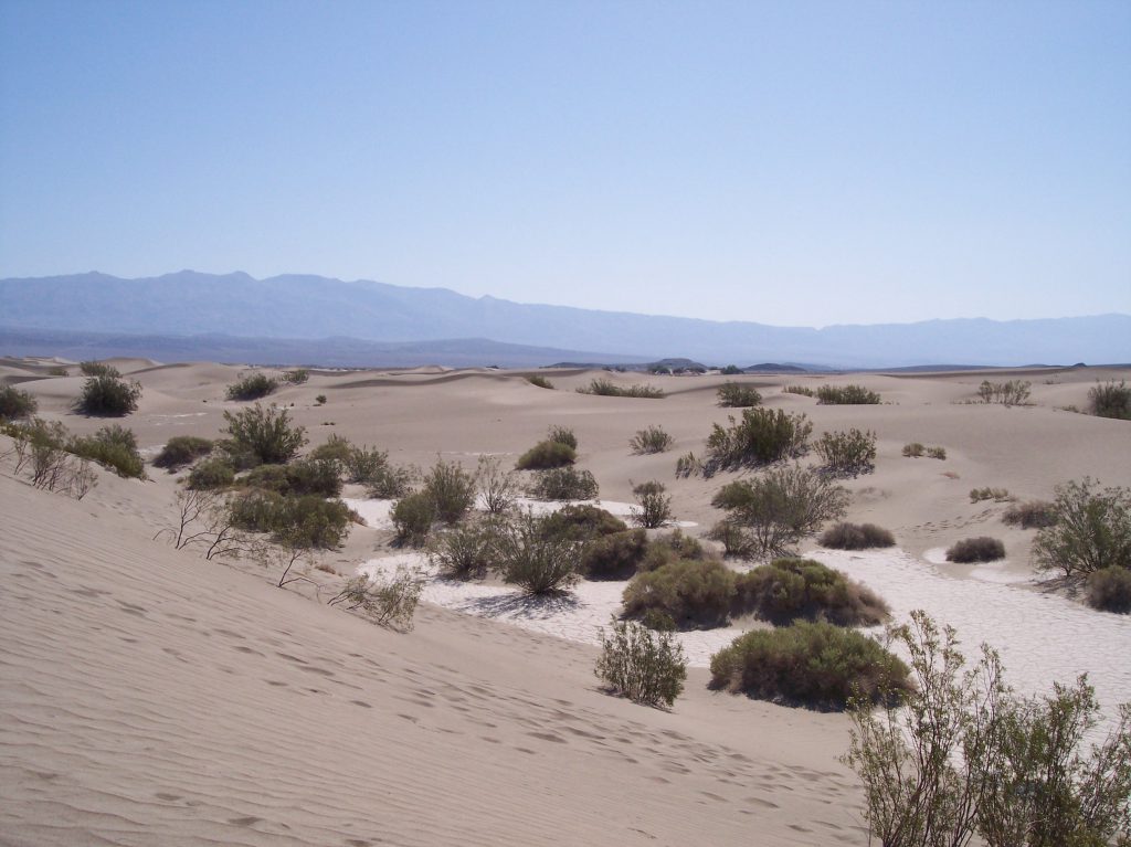 Death Valley, Sanddünen