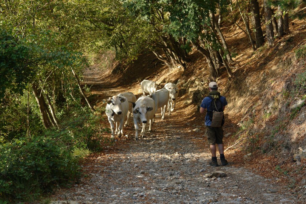 Wanderung am Pizzo d'Evigno