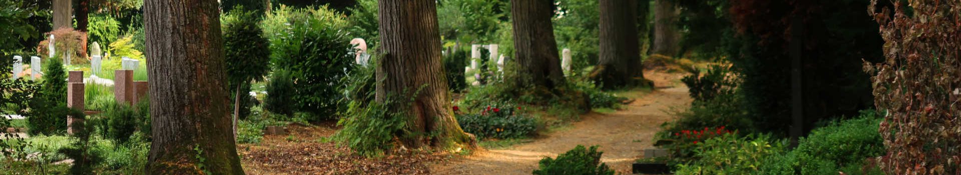 Der Bergfriedhof – Ein ungewöhnlicher Park