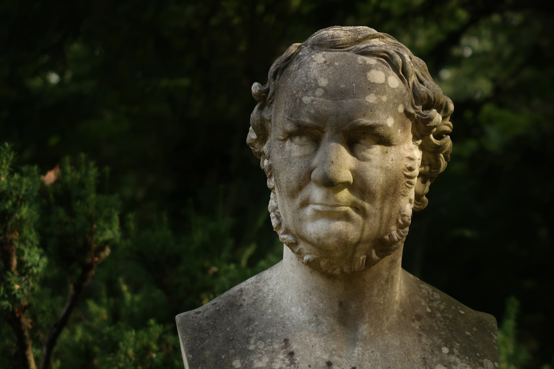 Bergfriedhof Heidelberg Besuche einen Park der anderen Art!