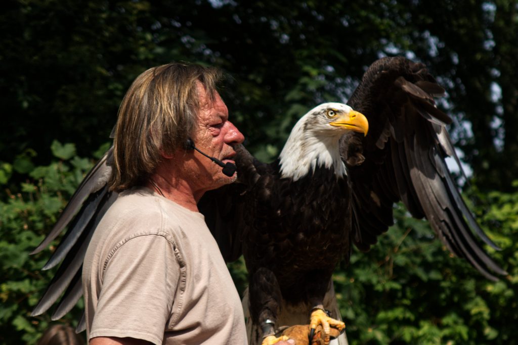 Uwe Jacob mit Weißkopfadler