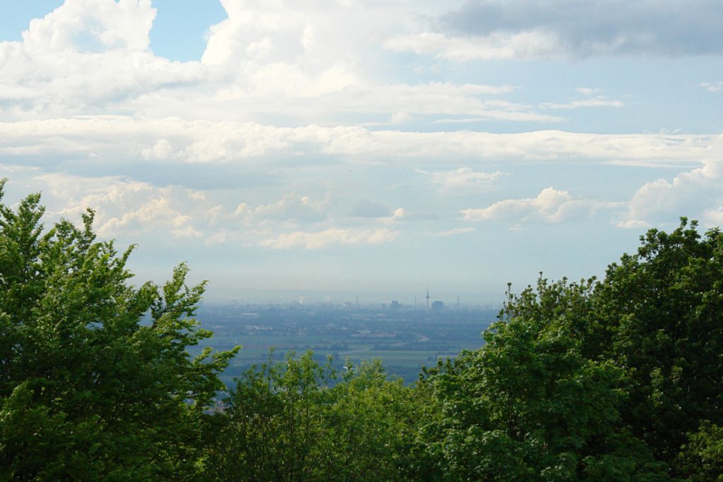 Aussicht auf Mannheim