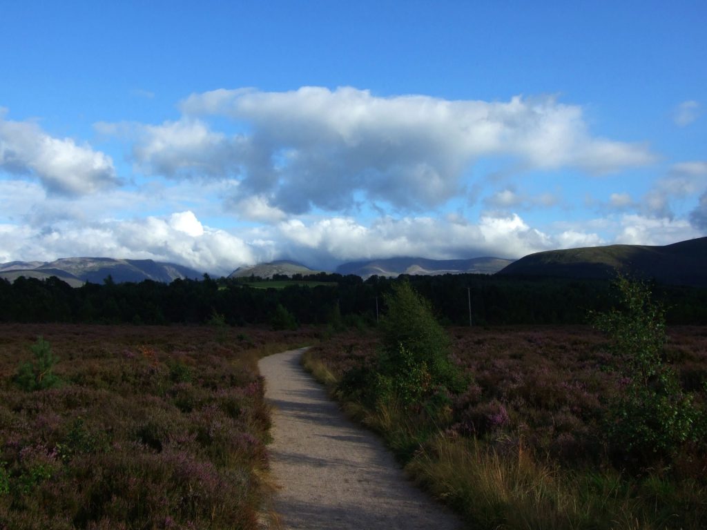 Cairngorm Mountains