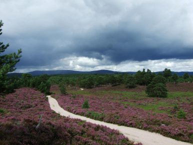 2 Wochen backpacking in den schottischen Highlands