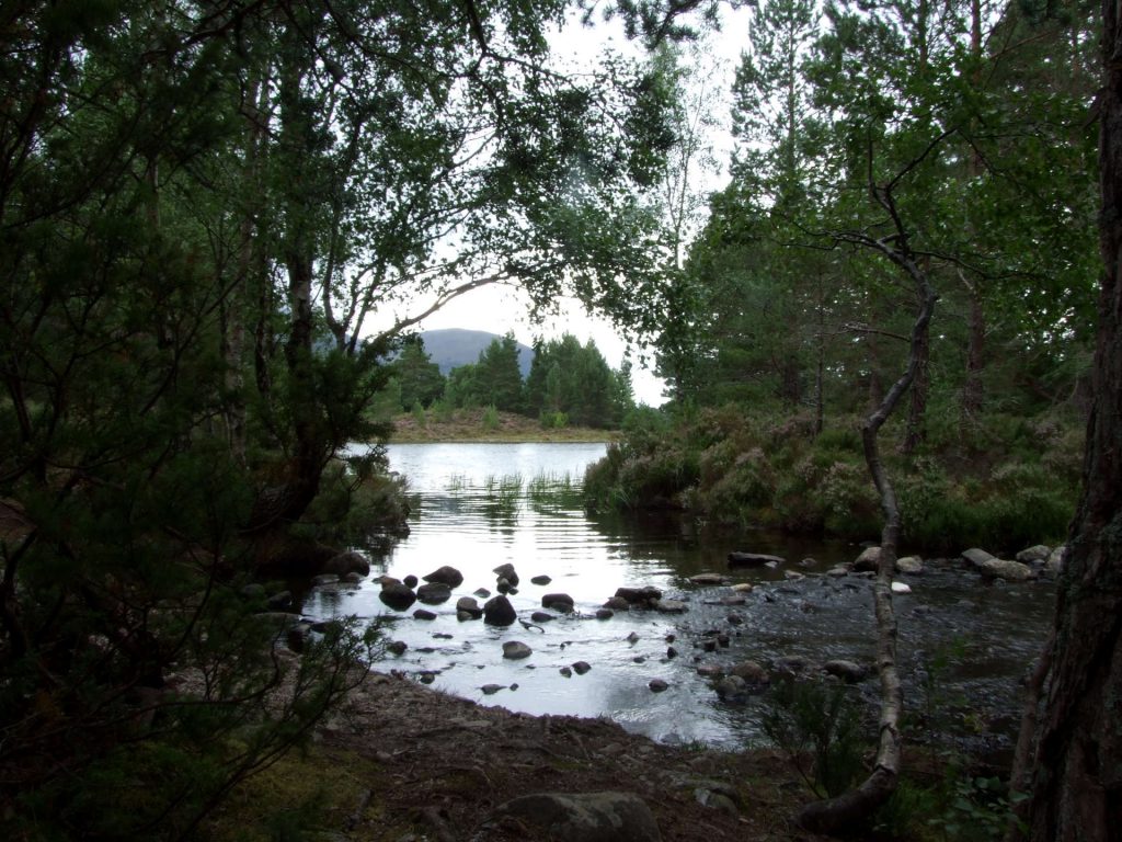 Bei Loch an Eilein