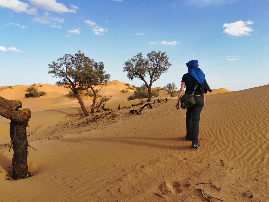 Debbie und ein paar Tamarisken in den Dünen von Zagora