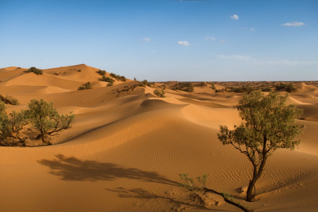 Dünen der Zagora-Wüste