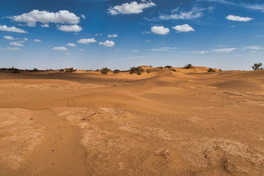 Wüstenlandschaft von Zagora