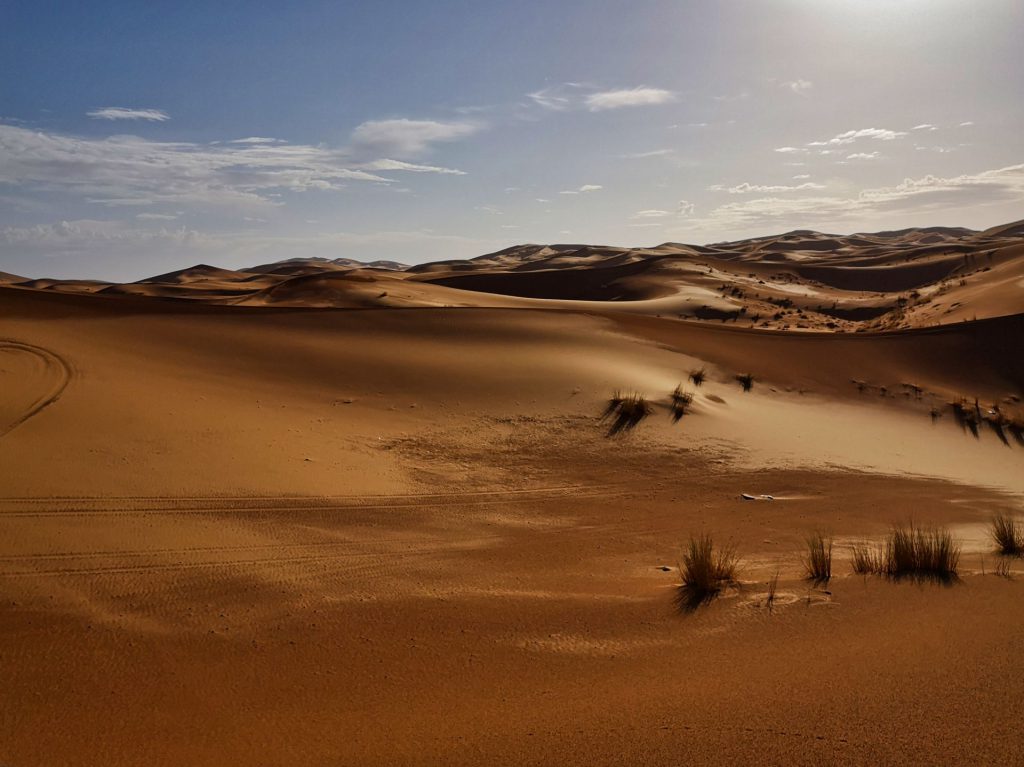 Die Dünen von Merzouga glänzen im Gegenlicht