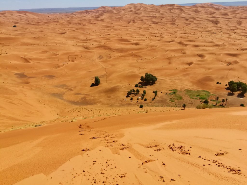 Blick von der hohen Düne zur Oase