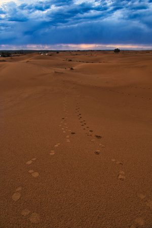 Abendspaziergang beim Wüstencamp