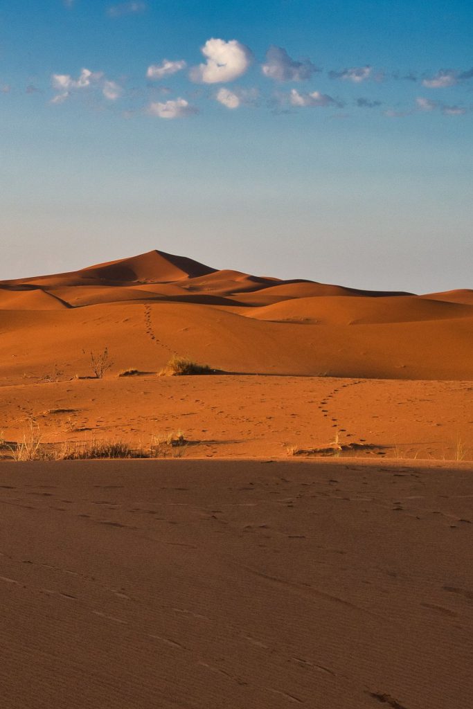 Sanddünen am Rande von Erg Chebbi