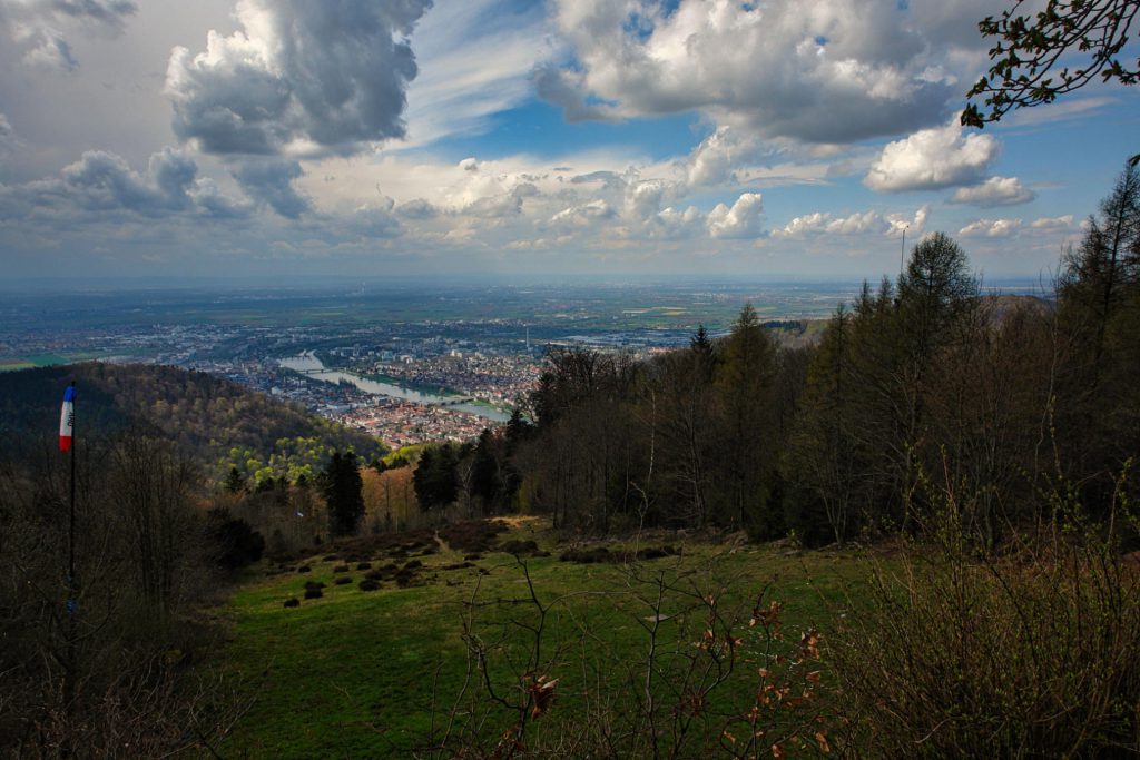 Aussicht vom Königstuhl