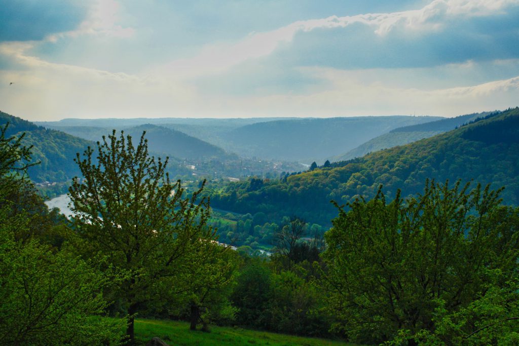 Aussicht von Dilsberg