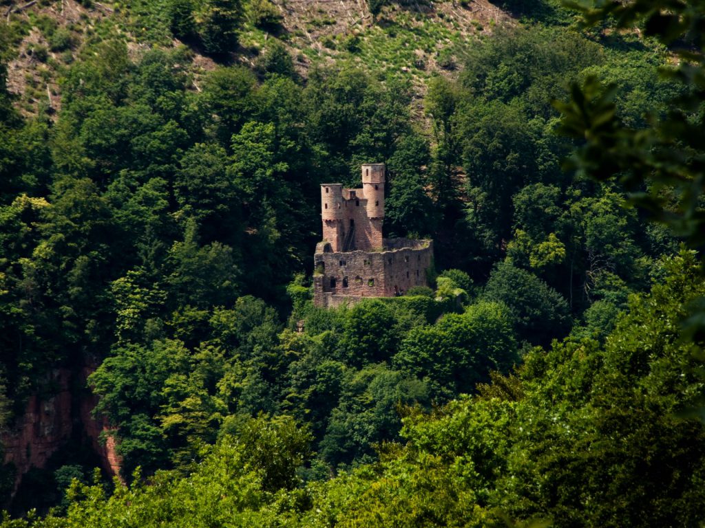 Burg Schadeck bei Neckarsteinach