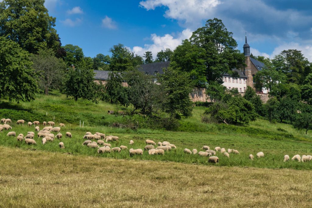 Stift Neuburg bei Ziegelhausen