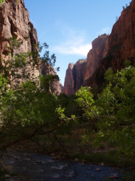 Hohe Felswände im Zion National Park Felswände, Zion National Park