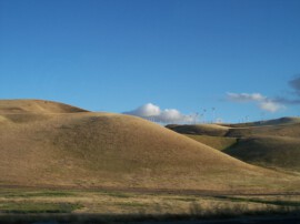 Hügellandschaft östlich von San Francisco - eine echte Graswüste Prairie, San Francisco
