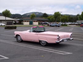 Auto irgendwo in der Gegend um Highway 1 Rosa Auto, Highway 1