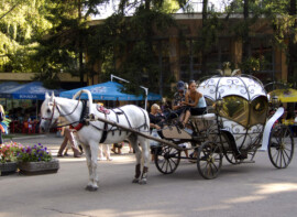 Romantische Kutschfahrt in einer Cinderella-Kutsche gefällig? Cinderella-Kutsche