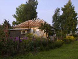Irgendwo nahe der Datscha außerhalb der Stadt Idylle auf dem Lande